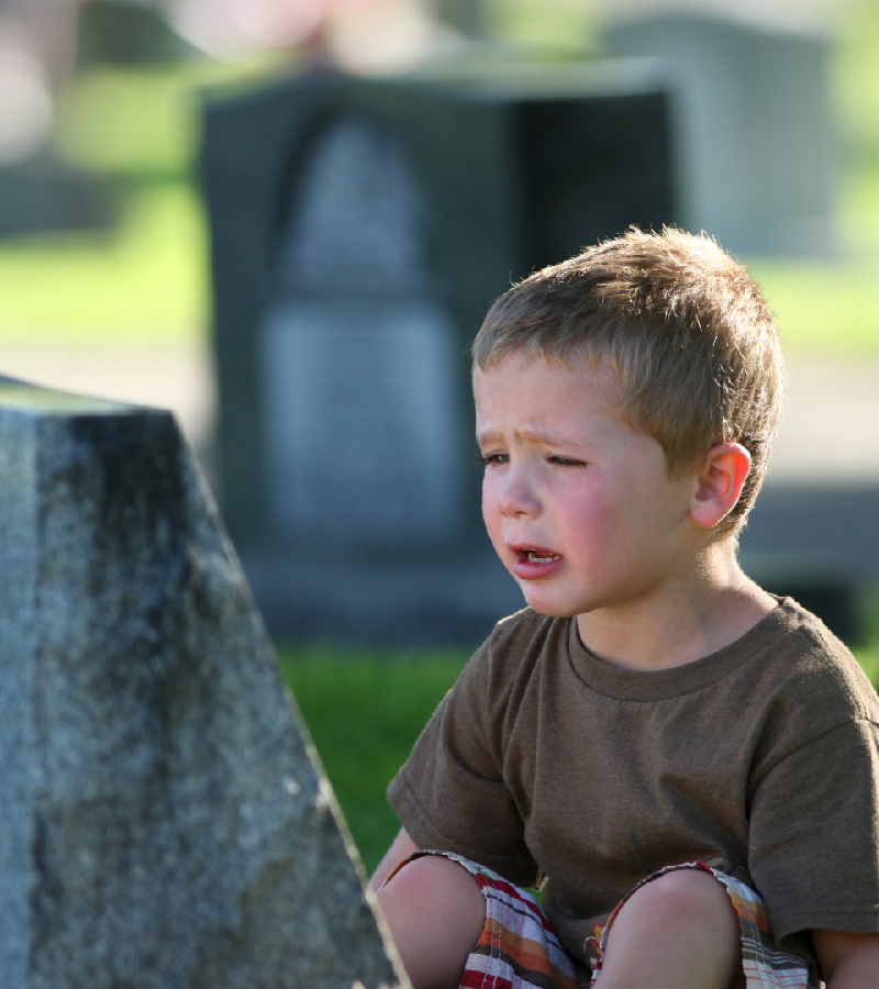 Read more about the article Grief in Children Signs